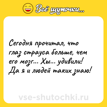 Шутка: Сегодня прочитал, что глаз страуса больше, чем его мозг... Хы... удивили! Да я и людей таких знаю!