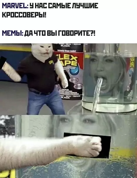 Смешная картинка №477254 Мемы с котом