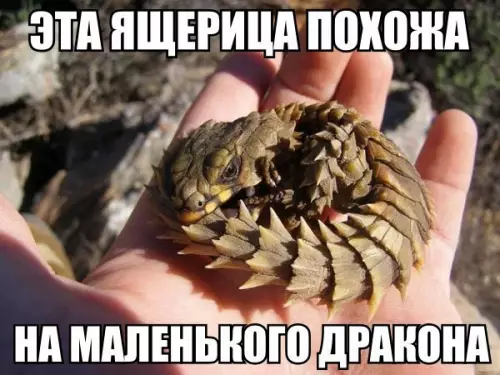 Смешная картинка №187309