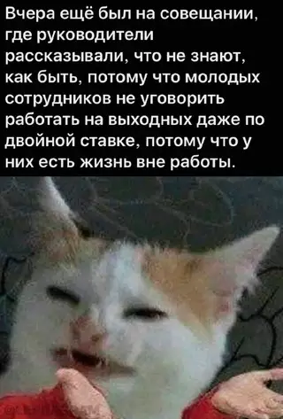Смешная картинка №669100 Чтo эти зyмepы ceбe пoзвoляют? 🤔 работа, начальство