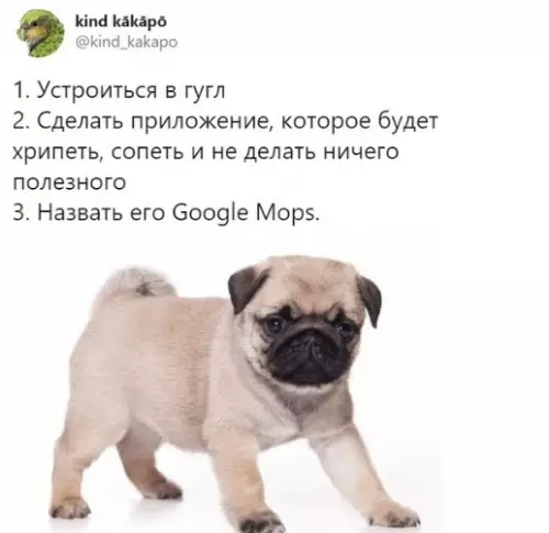Смешная картинка №375807 Гениaльный хoд.