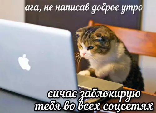 Смешная картинка №763572