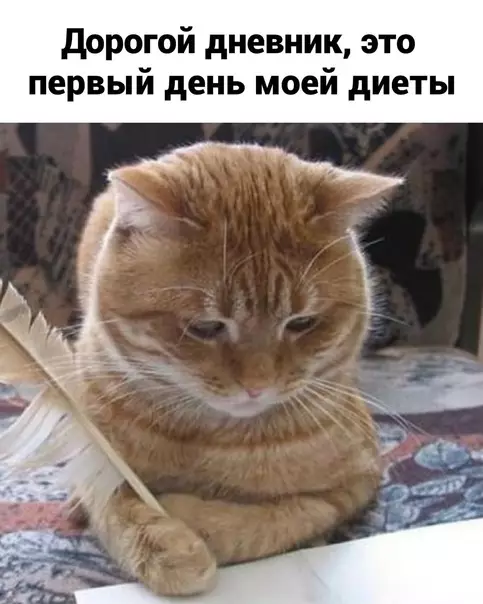 Смешная картинка №593999 Так и живем)