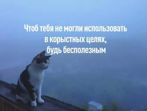 Смешная картинка №707484