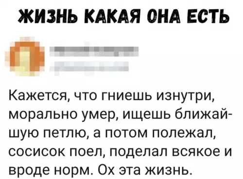 Смешная картинка №334101