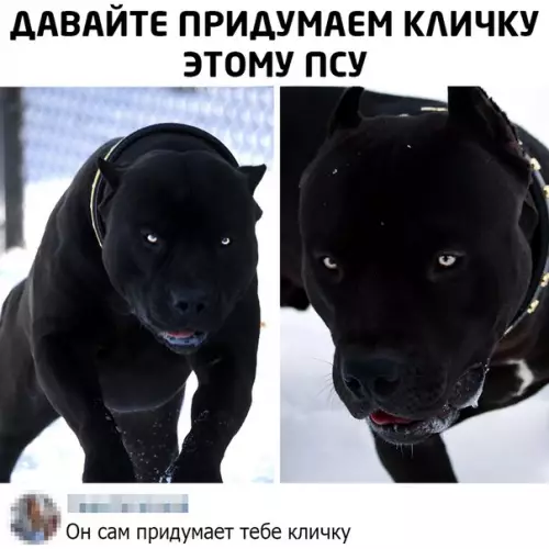 Смешная картинка №490354