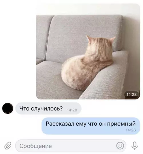 Смешная картинка №291843