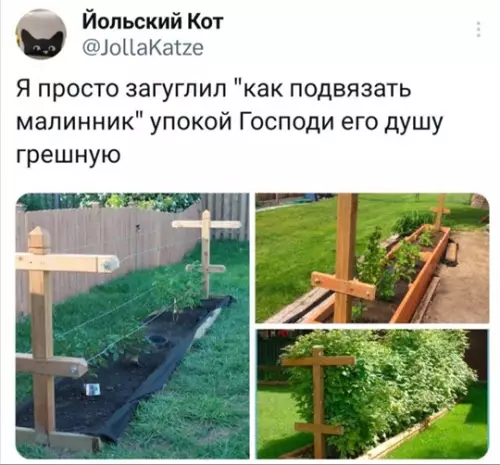 Смешная картинка №770342