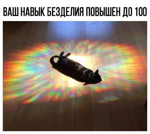Смешная картинка №685309