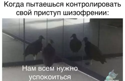 Смешная картинка №421516