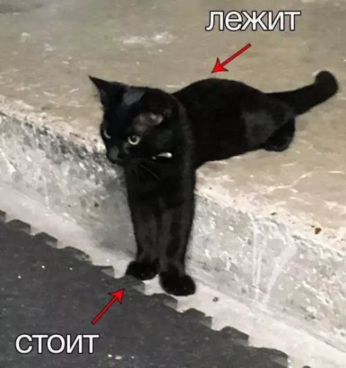 Смешная картинка №767747