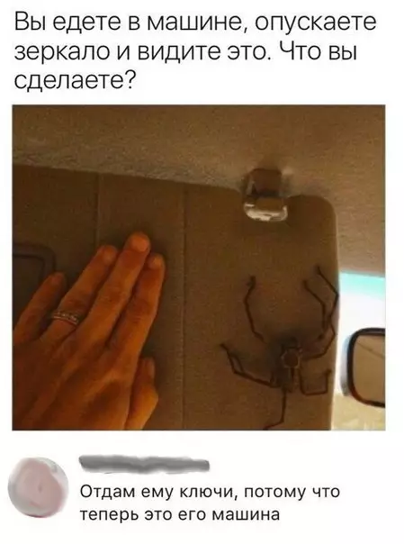 Смешная картинка №262332