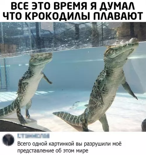Смешная картинка №497134