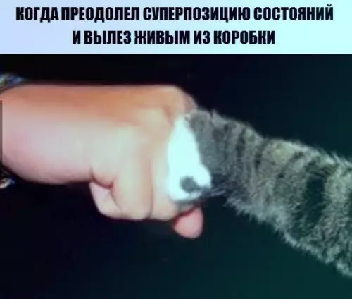 Смешная картинка №439467