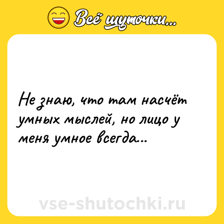 Шутка: Не знаю, что там насчёт умных мыслей, но лицо у меня умное всегда...