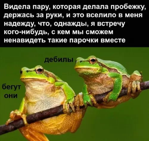 Смешная картинка №649570