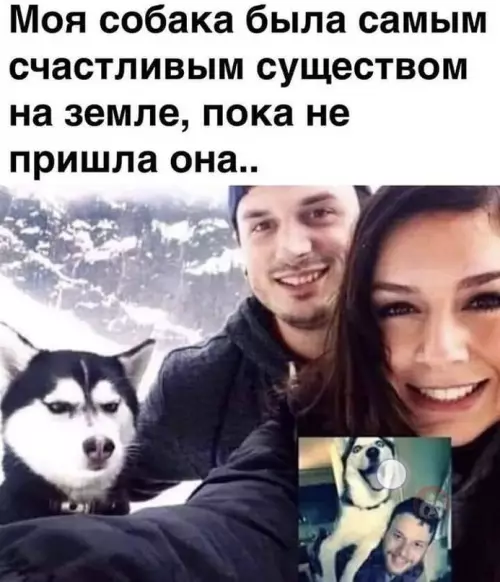 Смешная картинка №612073 Вечно бабы все портят ?