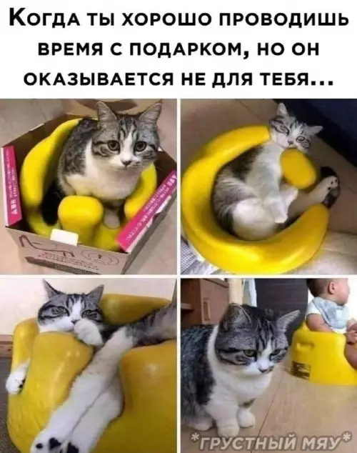 Смешная картинка №664806