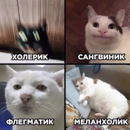 Смешная картинка №677257