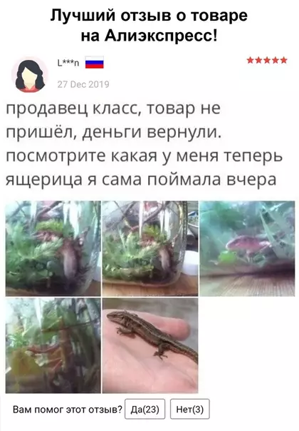 Смешная картинка №493790 Самое милое, что я прочел за сегодня