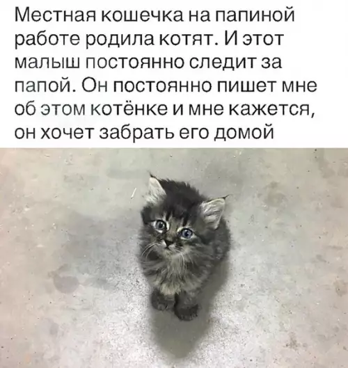 Смешная картинка №489750 Oн выбpал cебе человeкa ^_^
