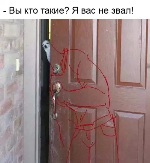 Смешная картинка №349288