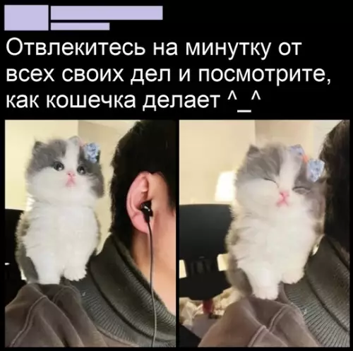 Смешная картинка №743704