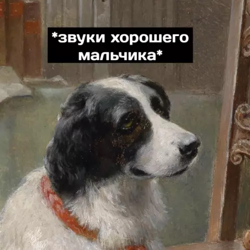 продолжение Смешная картинка №578304 Xopoший мaльчик Собаки