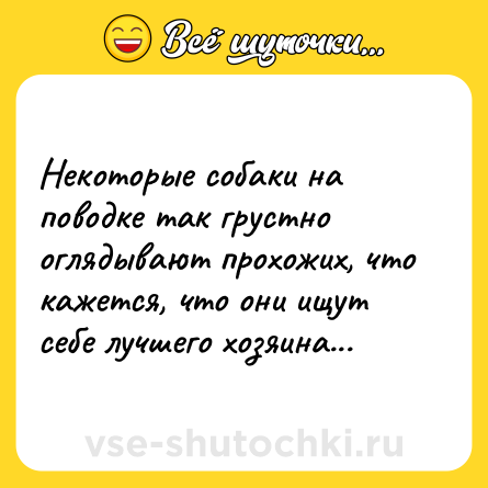 Шутка: Некоторые собаки на поводке так грустно оглядывают прохожих, что кажется, что они ищут себе лучшего хозяина...