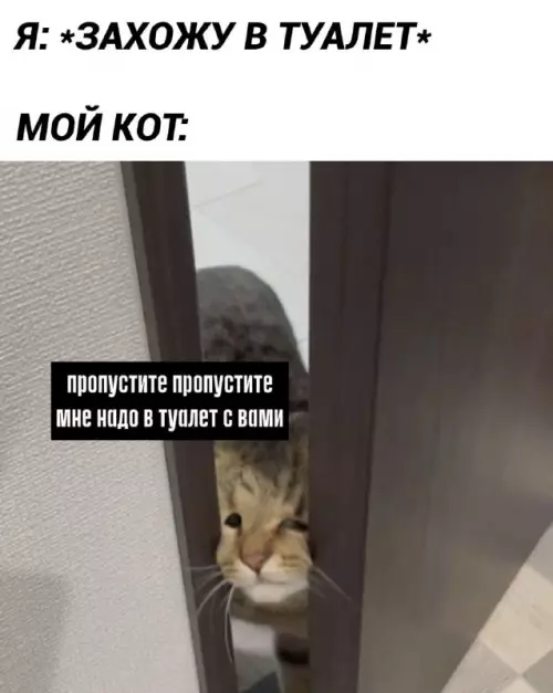 Смешная картинка №750365
