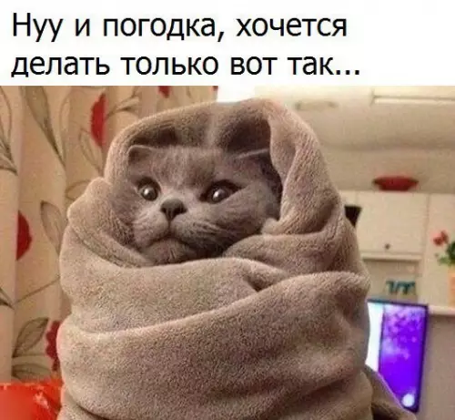 Смешная картинка №224937