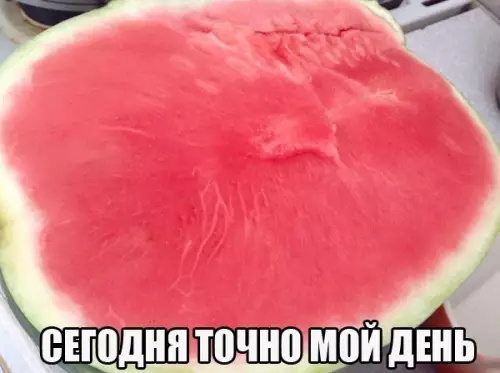 Смешная картинка №206391