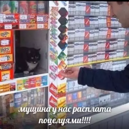 Смешная картинка №669232