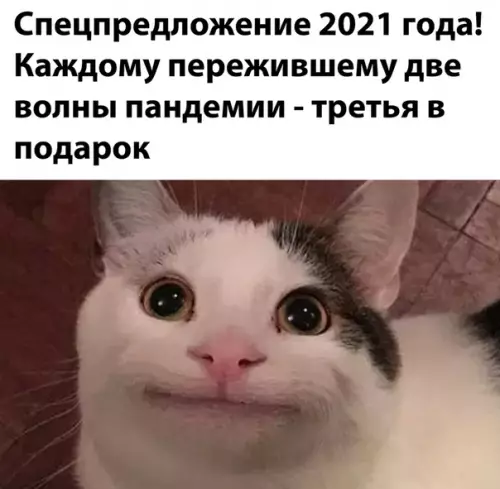 Смешная картинка №527569