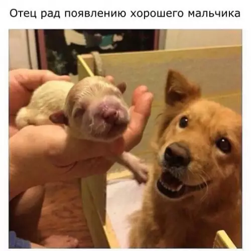 Смешная картинка №223153