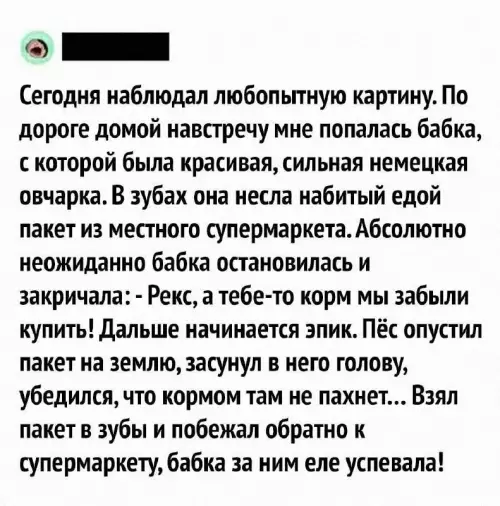 Смешная картинка №743057