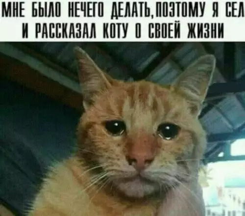 Смешная картинка №521682