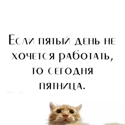 Смешная картинка №317979