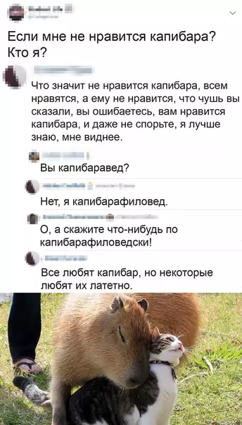 Смешная картинка №498296 Капибара прекрасна!!!