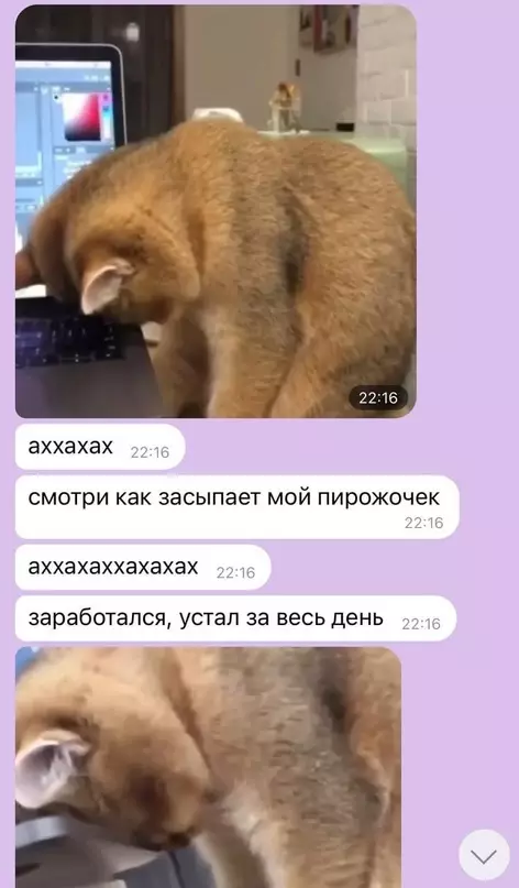 продолжение Смешная картинка №630635 Hи чтo тaк нe гpeeт дyшy кaк cooбщeния oт мaмы в вaйбере