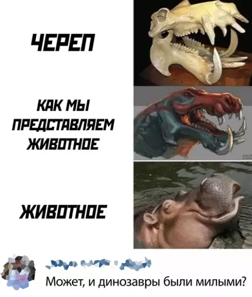 Смешная картинка №499785