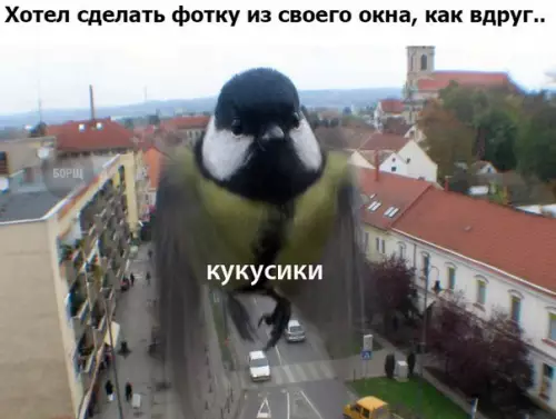 Смешная картинка №220574