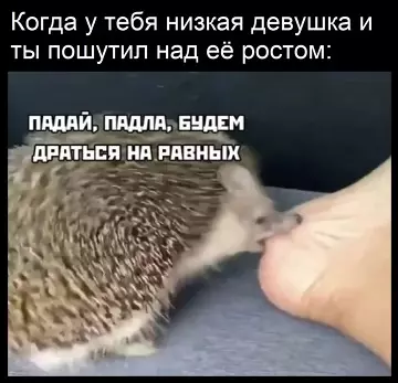 Смешная картинка №773851