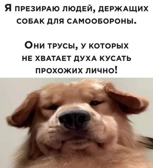 Смешная картинка №508093