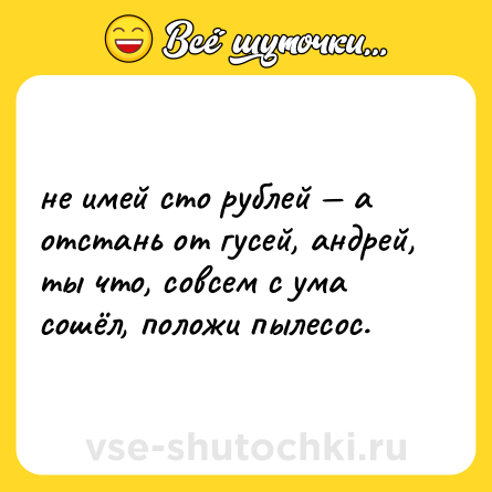 Шутка: не имей сто рублей — а отстань от гусей, андрей, ты что, совсем с ума сошёл, положи пылесос.