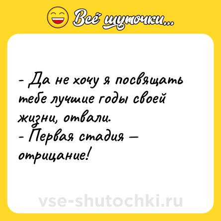Шутка: - Да не хочу я посвящать тебе лучшие годы своей жизни, отвали. <br>- Первая стадия — отрицание!