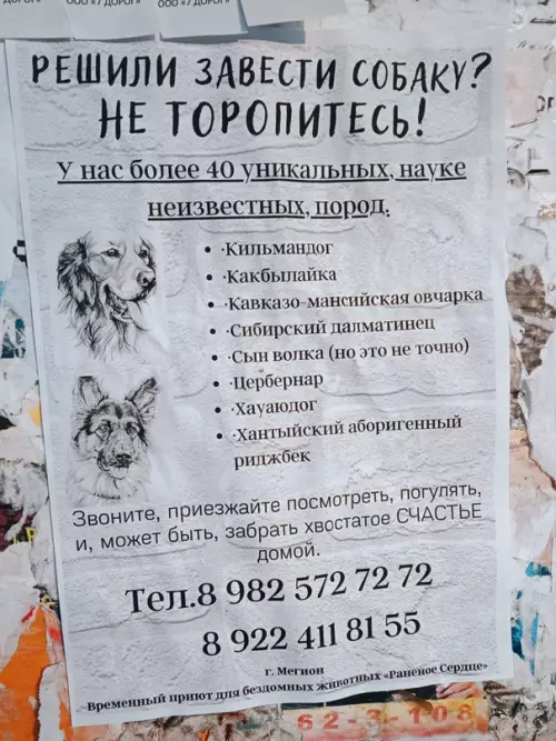 Смешная картинка №634460