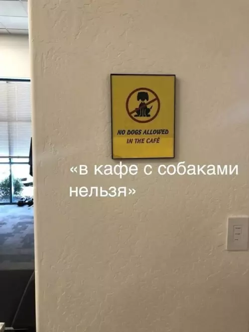 Смешная картинка №605609 Да как вообще они посмели не пустить этого красавца.