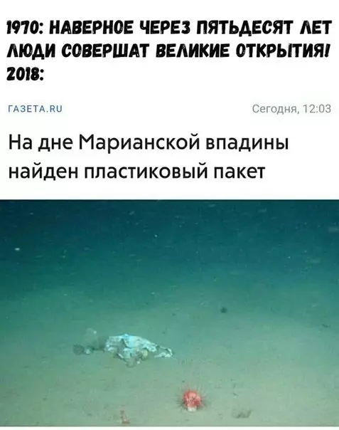 Смешная картинка №274220