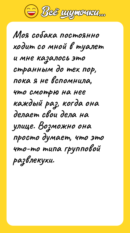 Моя собака постоянно ходит со мной в туалет и мне